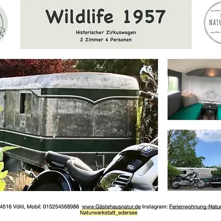 Luksusowy namiot Gastehaus Zirkuswagen Wildlife 1957 2 Vöhl